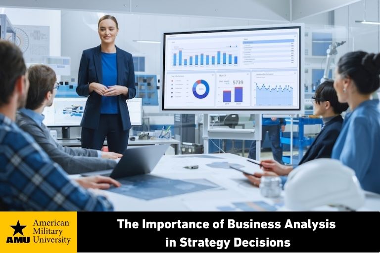 business analysis professional