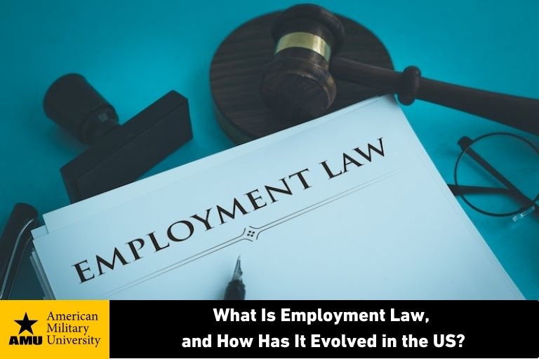 employment law written on legal document