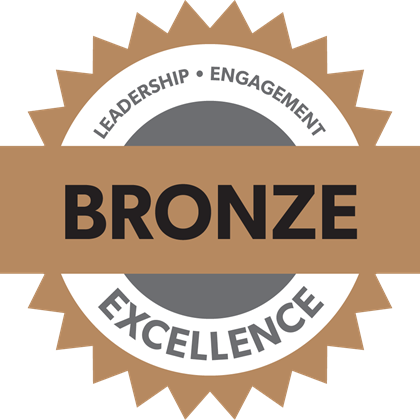Bronze Chapter Standards Medal